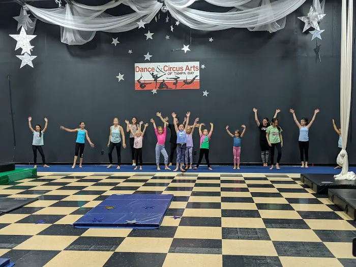 Dance and Circus Arts of Tampa Bay Picture 6