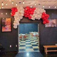 Dance and Circus Arts of Tampa Bay ico