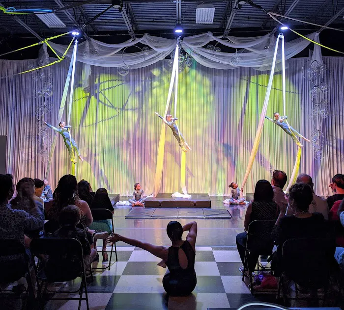 Dance and Circus Arts of Tampa Bay Picture 10