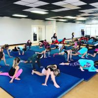 Fusion Dance Company ico