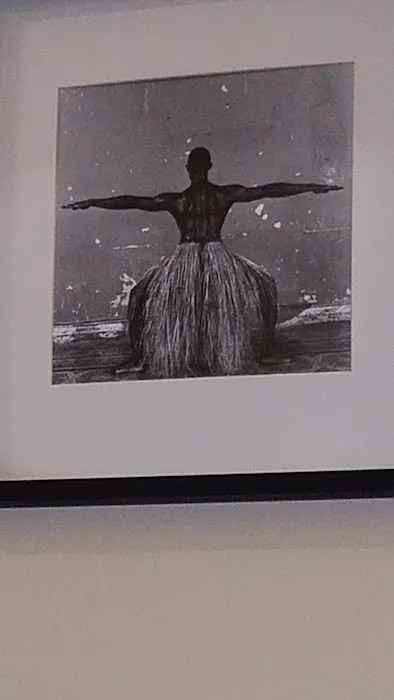New Tampa Dance Theatre Picture 1