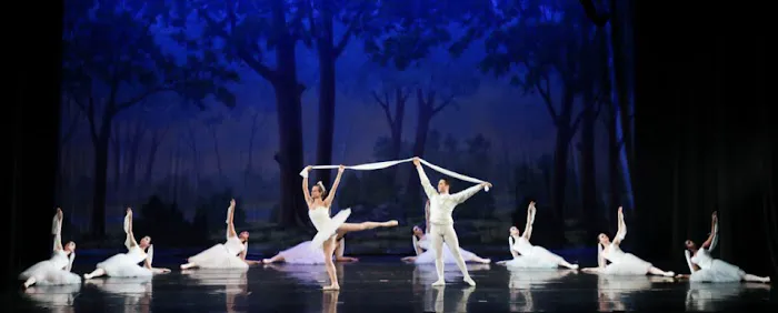 New Tampa Dance Theatre Picture 2