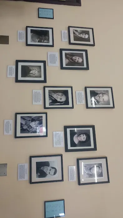 New Tampa Dance Theatre Picture 6