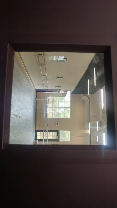 New Tampa Dance Theatre Picture 4