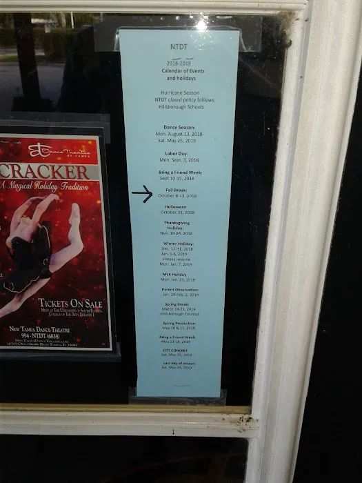 New Tampa Dance Theatre Picture 3