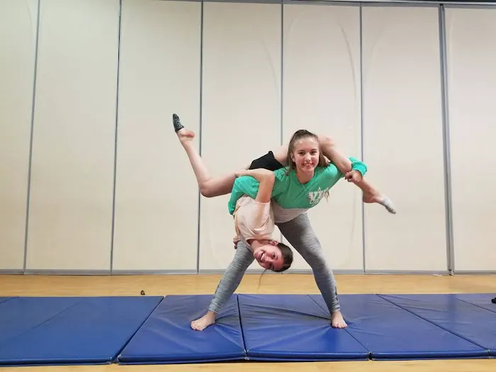 Song and Dance Inc Picture 1