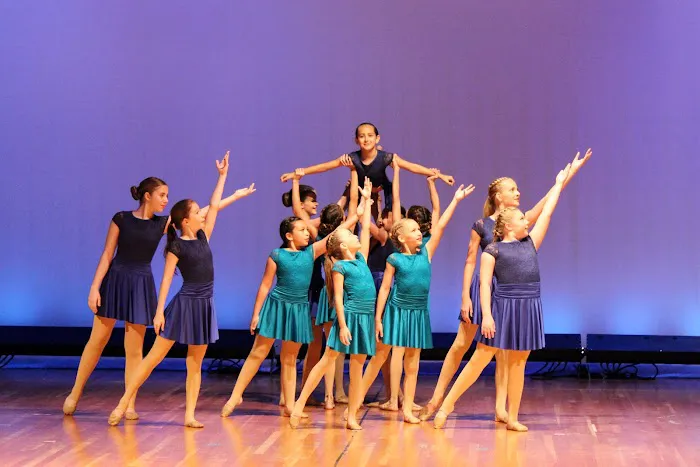 Song and Dance Inc Picture 2