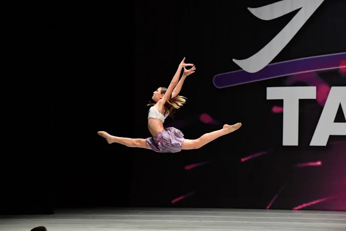 Song and Dance Inc Picture 8