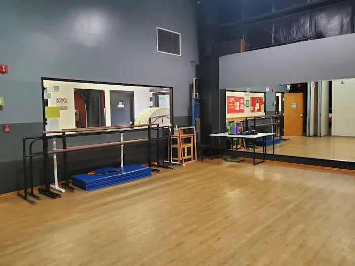 Song and Dance Inc Picture 3