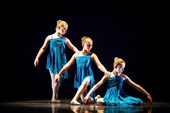 Theatre Arts & Dance Alliance Picture 2