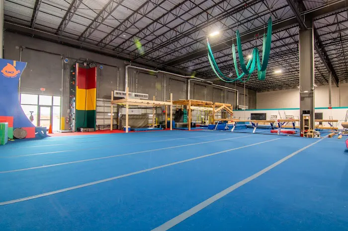 Jubilee Gymnastics, Dance, and Ninja Warrior Picture 9