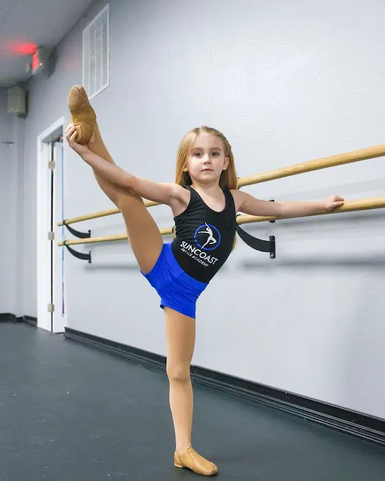 Suncoast Dance Academy Picture 3
