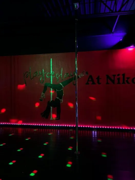 Niko’s Lair A Dance & Pole/Aerial Fitness Studio, LLC Picture 1