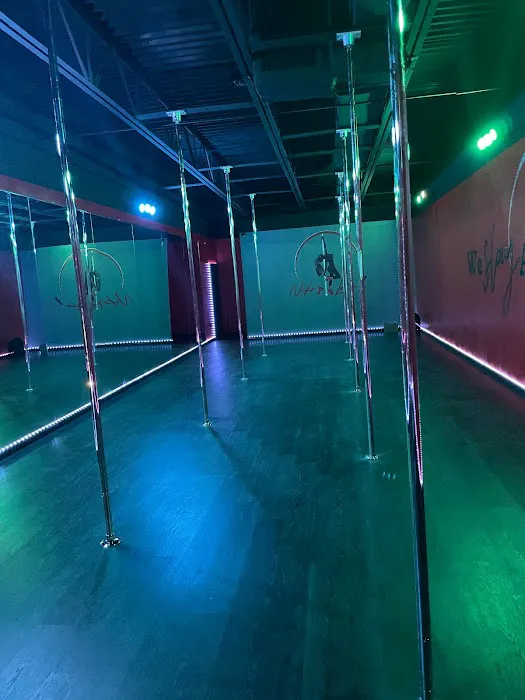 Niko’s Lair A Dance & Pole/Aerial Fitness Studio, LLC Picture 9