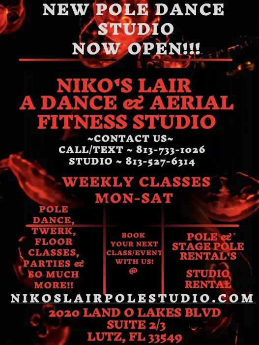 Niko’s Lair A Dance & Pole/Aerial Fitness Studio, LLC Picture 7