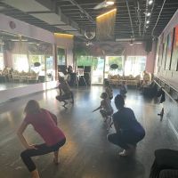 Palm Harbor Dancesport ico