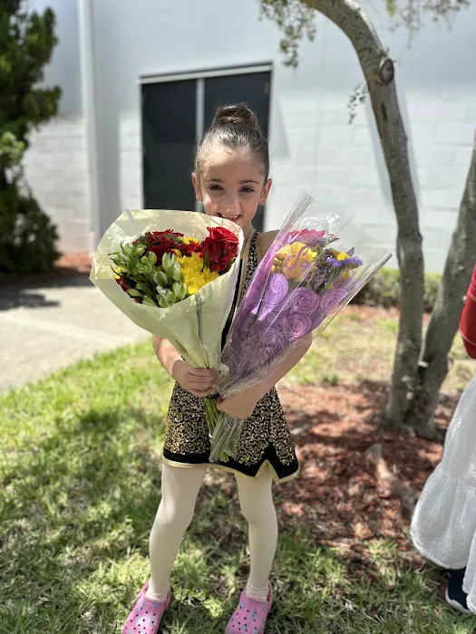Premier Dance Academy Picture 3