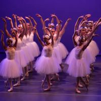 Gulf Coast Dancenter ico