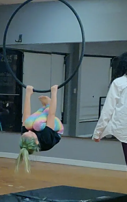 Studio 7 Dance Picture 1