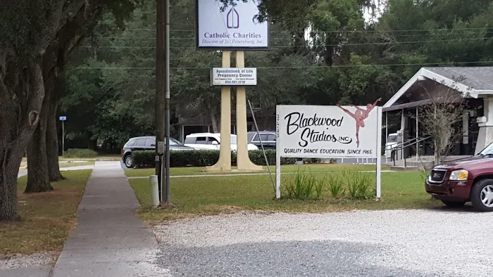 Blackwood Studios Inc Picture 5