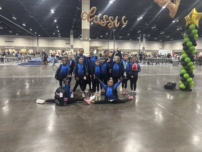 Apollo Beach Gymnastics Academy Picture 10