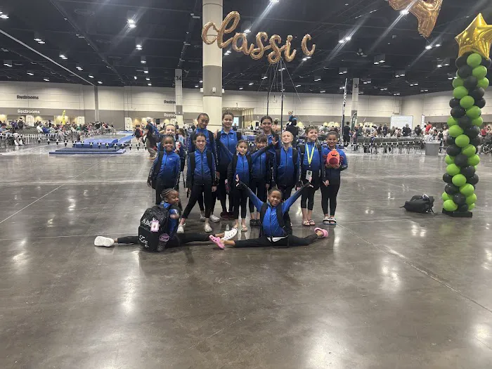 Apollo Beach Gymnastics Academy Picture 3
