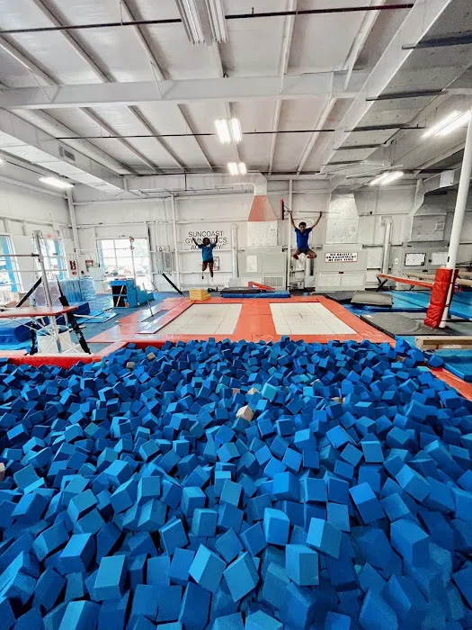 Suncoast Gymnastics Academy Picture 1