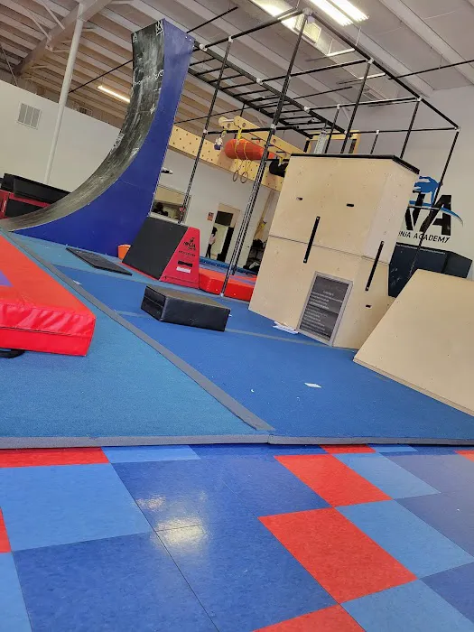 Suncoast Gymnastics Academy Picture 8