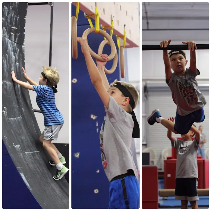 Suncoast Gymnastics Academy Picture 6
