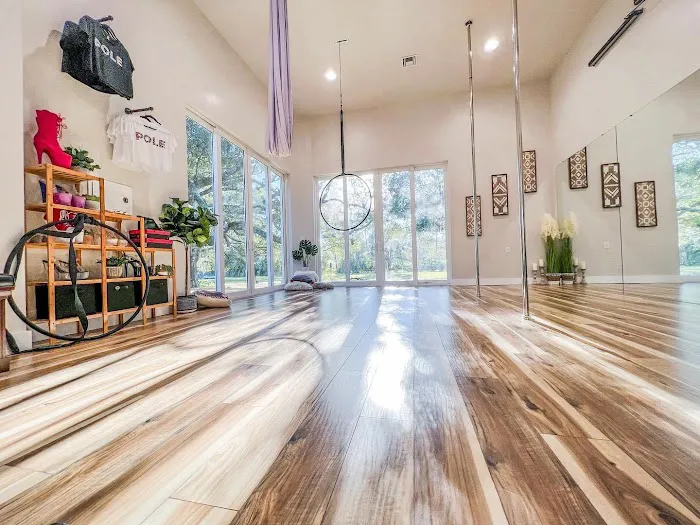Feisty Fitness Co. Pole & Aerial Picture 10