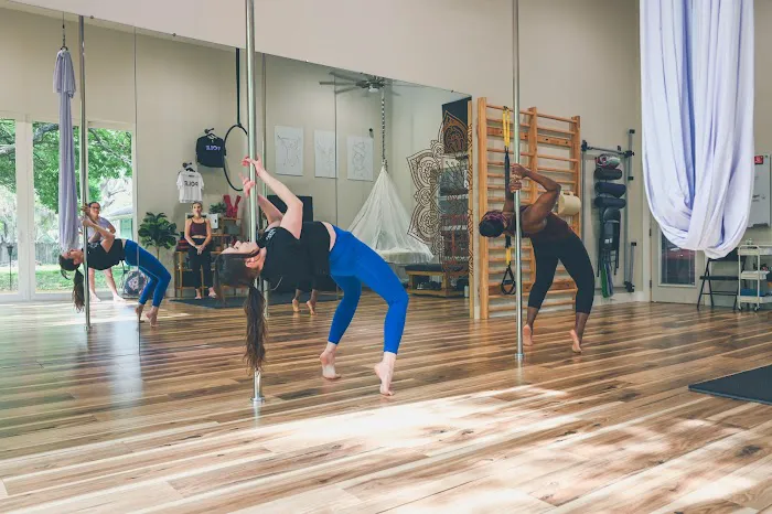 Feisty Fitness Co. Pole & Aerial Picture 7