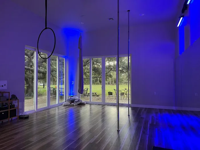 Feisty Fitness Co. Pole & Aerial Picture 5