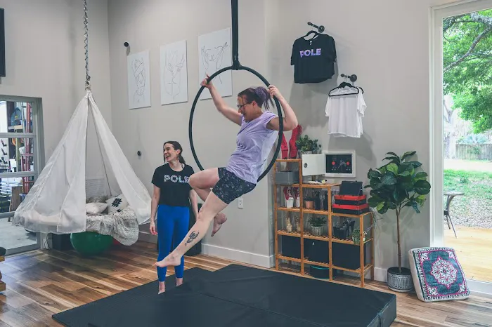 Feisty Fitness Co. Pole & Aerial Picture 6