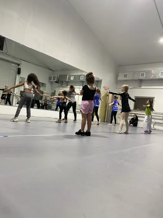 Star Academy of Dance & Aerial Arts Picture 1
