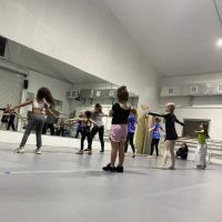 Star Academy of Dance & Aerial Arts ico