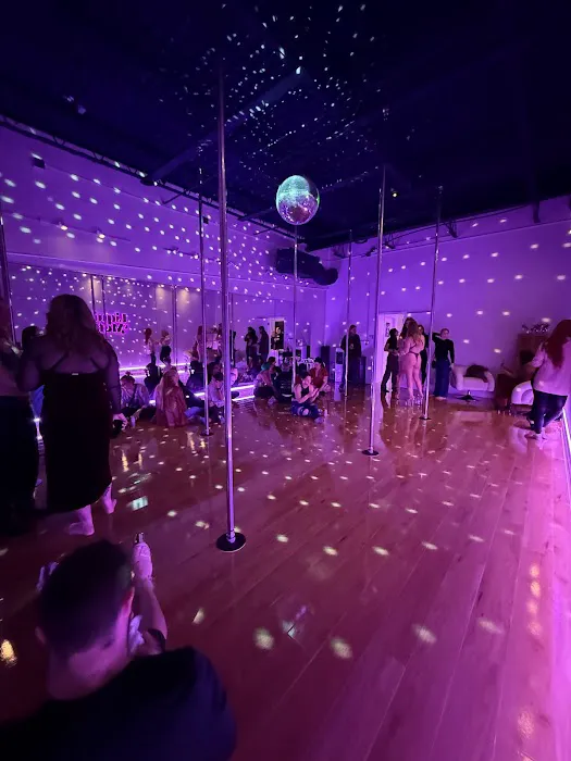 Liquid Metal Pole Dance Studio Picture 4
