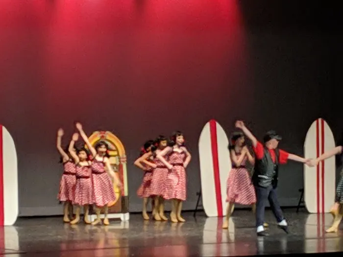 AK Dance Away Dance Studio Picture 1