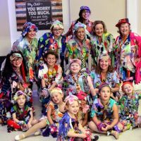 Spring Hill Arts Academy ico