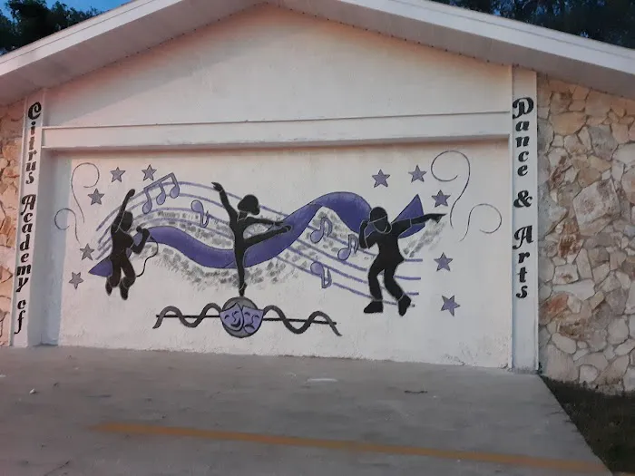 Citrus Academy of Dance and Arts Picture 2