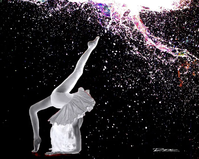Dance Dynasty llc Picture 2