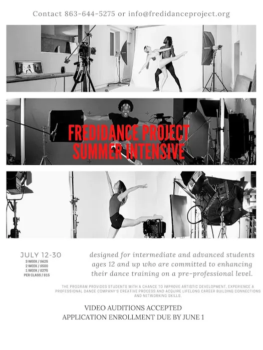 FrediDance Project Picture 2