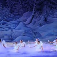 International Ballet of Florida ico