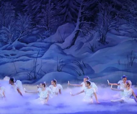 International Ballet of Florida