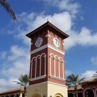 Dancing on the Suncoast ico