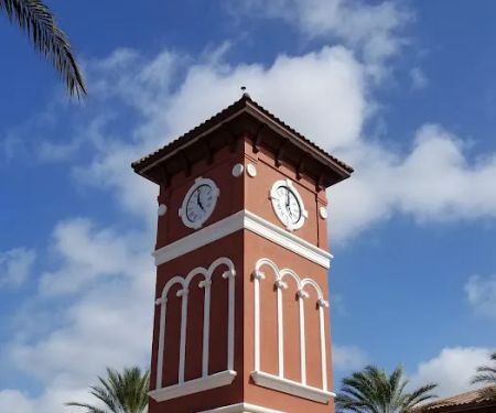Dancing on the Suncoast