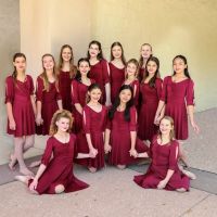 Woodland Fine Arts Academy ico