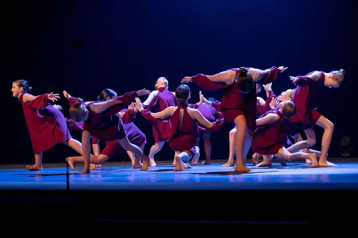 Woodland Fine Arts Academy Picture 3