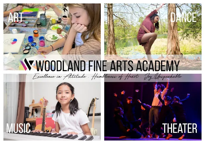 Woodland Fine Arts Academy Picture 8