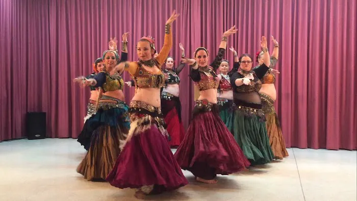 ShimmyBOOM Bellydance Picture 2