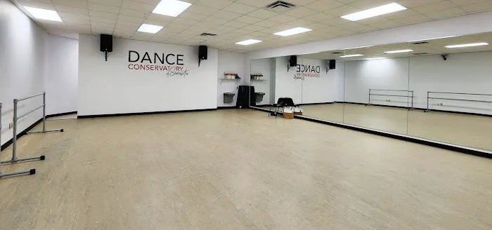 The Dance Room Picture 1